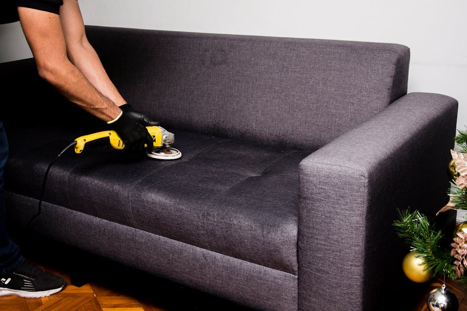 couch cleaning service