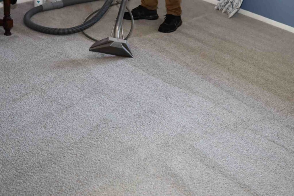 professional carpet cleaning near me