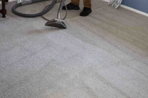 professional carpet cleaning near me